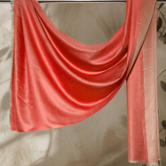 Untitled design (15)