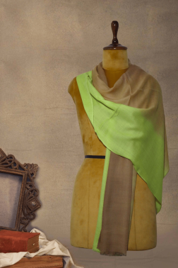 Ombre Pashmina Stole (Brown & Lime Freshness)
