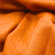 Untitled design (19)