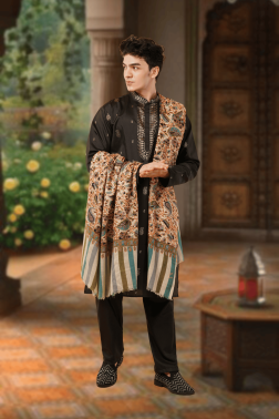 Earth Tone Kani Woven & Hand Painted Embroidered Pure Pashmina Shawl for Men