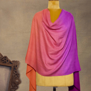 Untitled design (31)