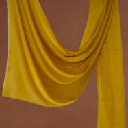 Untitled design (35)