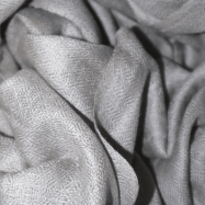 Untitled design (69)