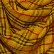 Untitled design - 2025-08-14T121737.170