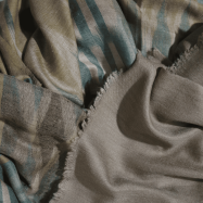 Untitled design - 2025-08-19T000846.993