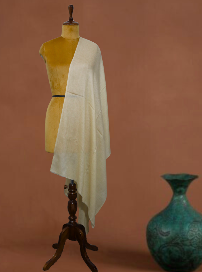 Untitled design (54)