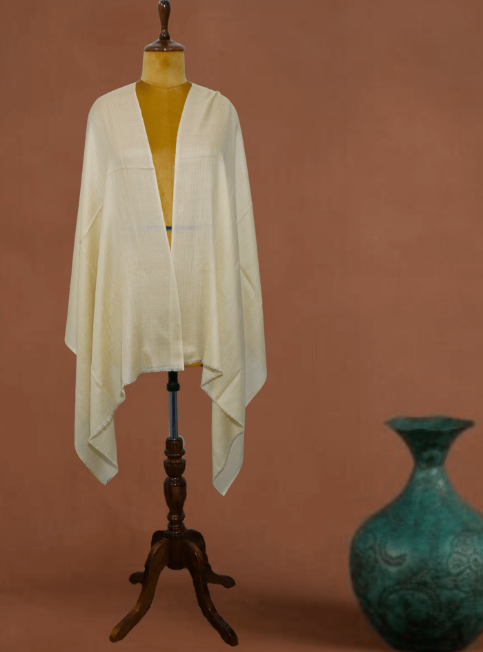 Untitled design (55)